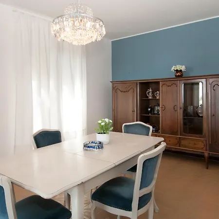 Daniel * אופטיה